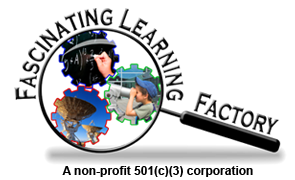 The Fascinating Learning Factory